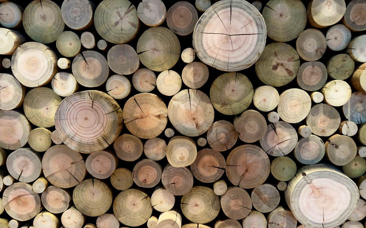 Timber