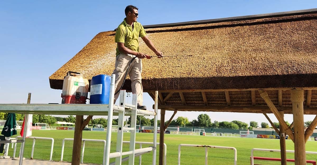 Is Thatched Roofing Fire-Safe? What to Know About Fire-Retardant Treatments