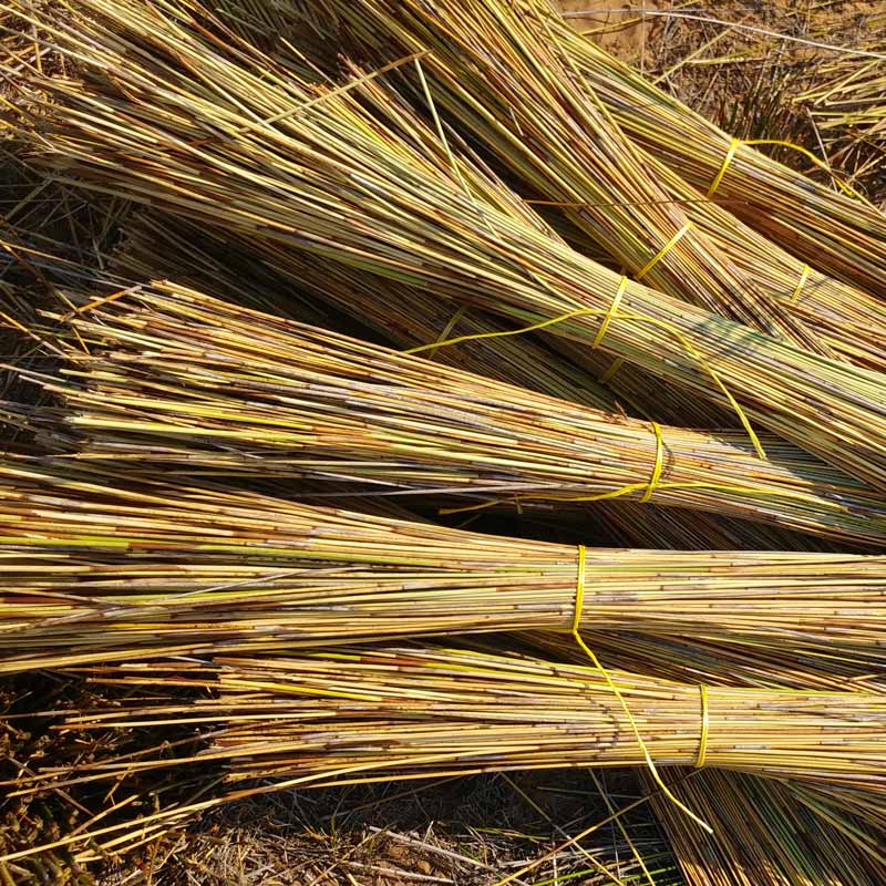 Cape Reed - Premium Sustainable Thatch & Timber Construction