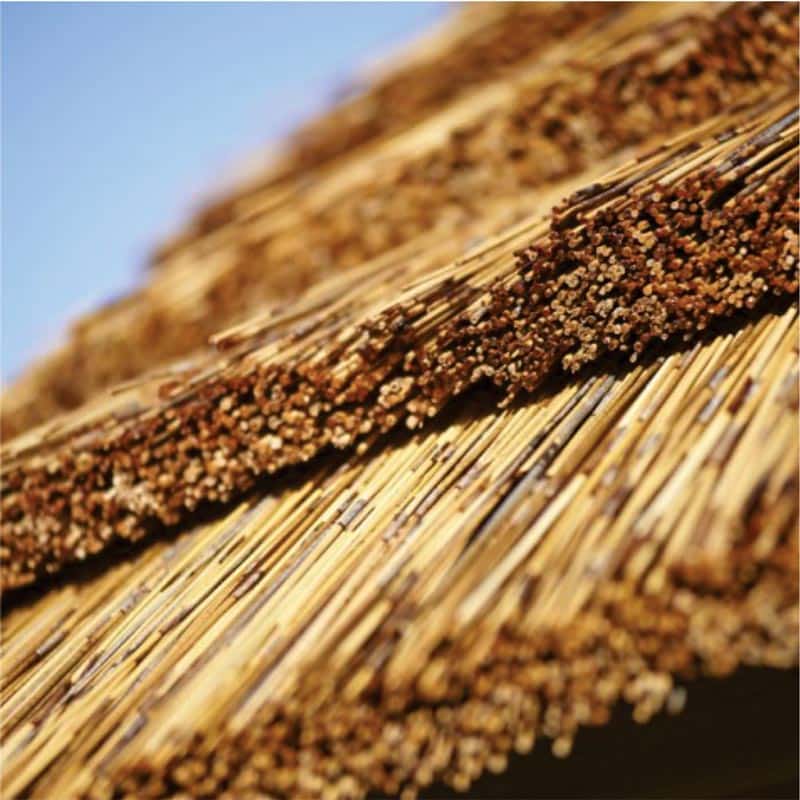 Cape Reed Thatch Tiles