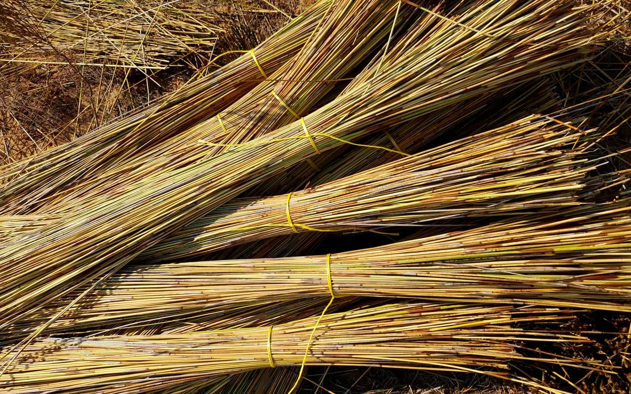 Thatch