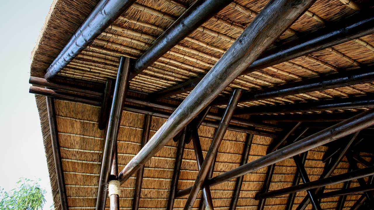 TanE Timber Treatment – why we use it