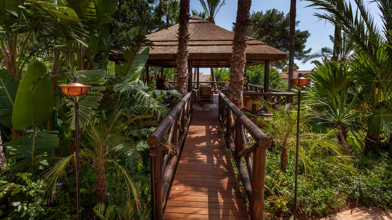 Creative Ways to Enhance Patios and Terraces with Wooden Decking