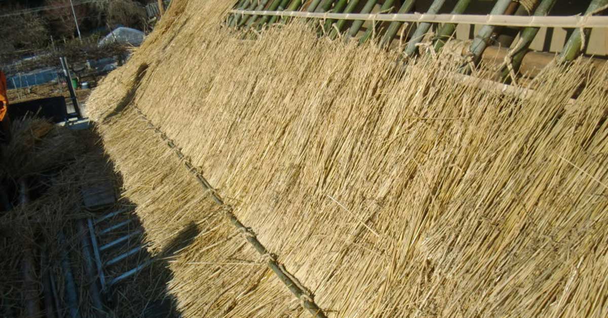 Thatching material around the world – Part 2
