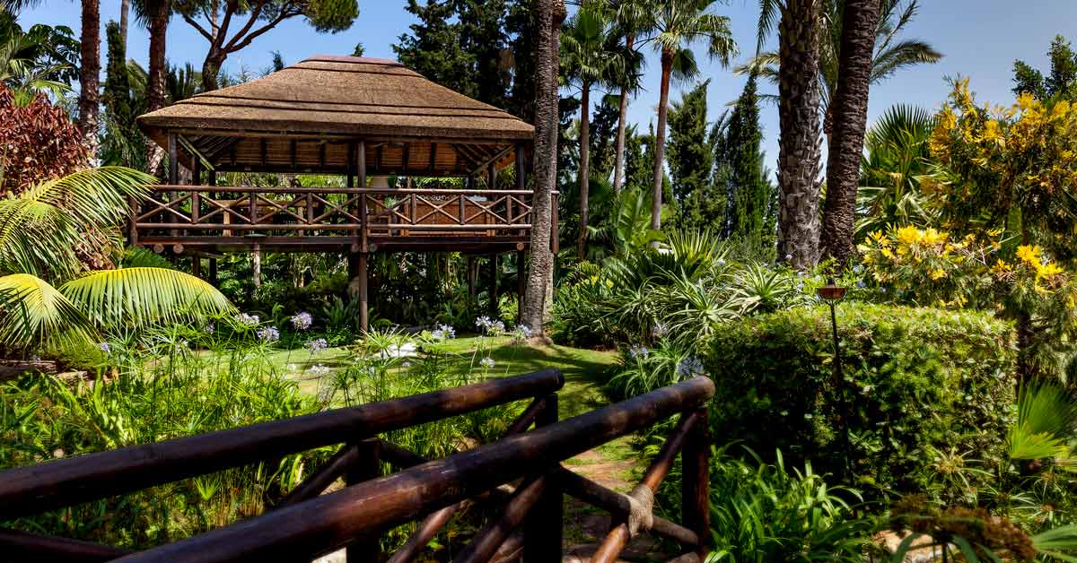 Importance of Choosing Professional Landscape Contractors