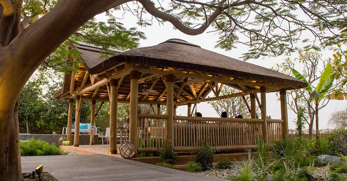 The Growing Popularity of African Thatch