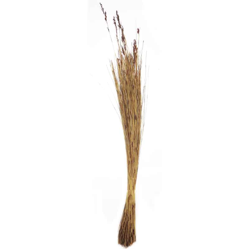 Thatch Bundle